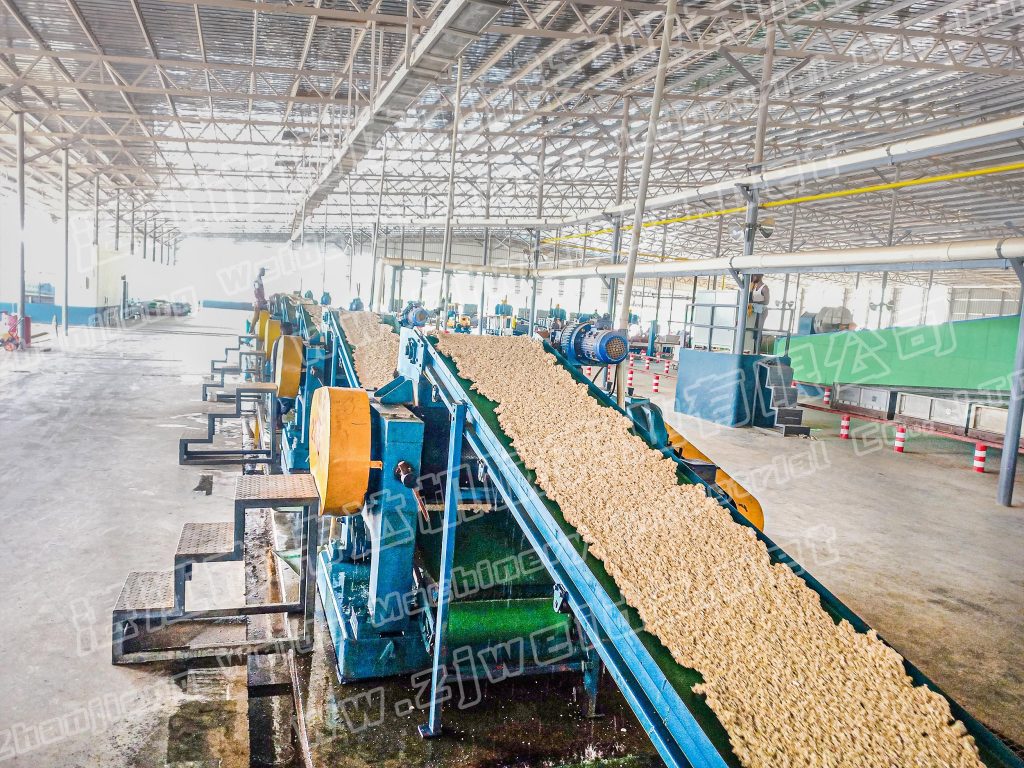Smart 湛江市偉達機械實業(yè)有限公司 tsr natural rubber processing machinery TSR Natural Rubber Processing Machinery